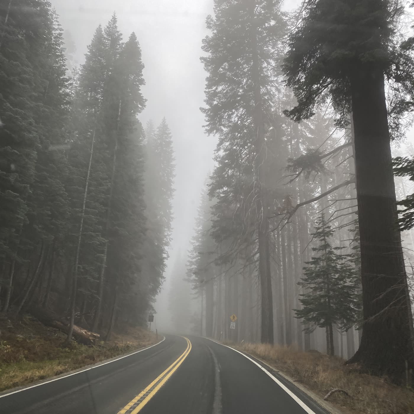 The road, in no hurry to become a metaphor