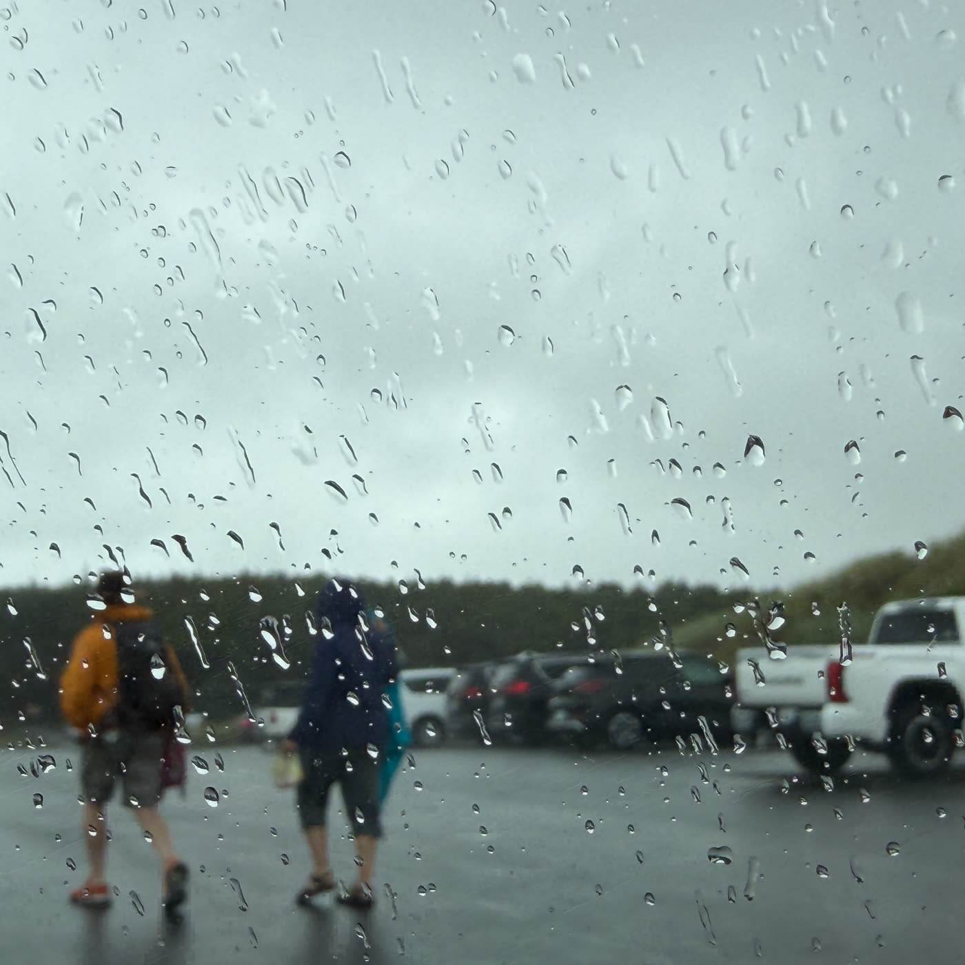 A parking lot, viewed through several hundred tiny lenses