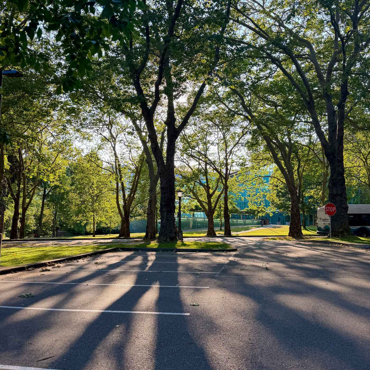 A parking lot, briefly forgiven by the light
