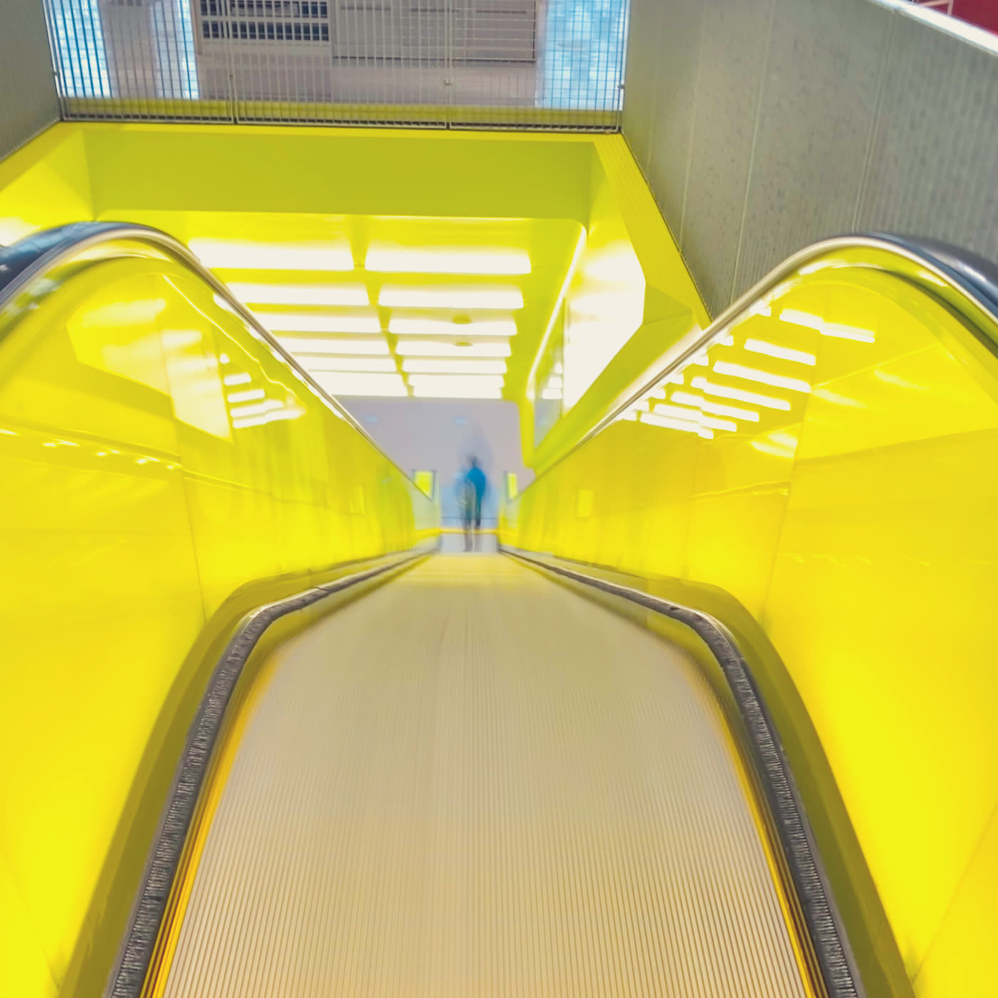 A commute reimagined as a trip down someone's throat